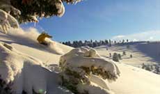Skiopenings USA & Kanada