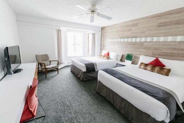 Elk + Avenue Hotel - Banff - 2 Queen Zimmer